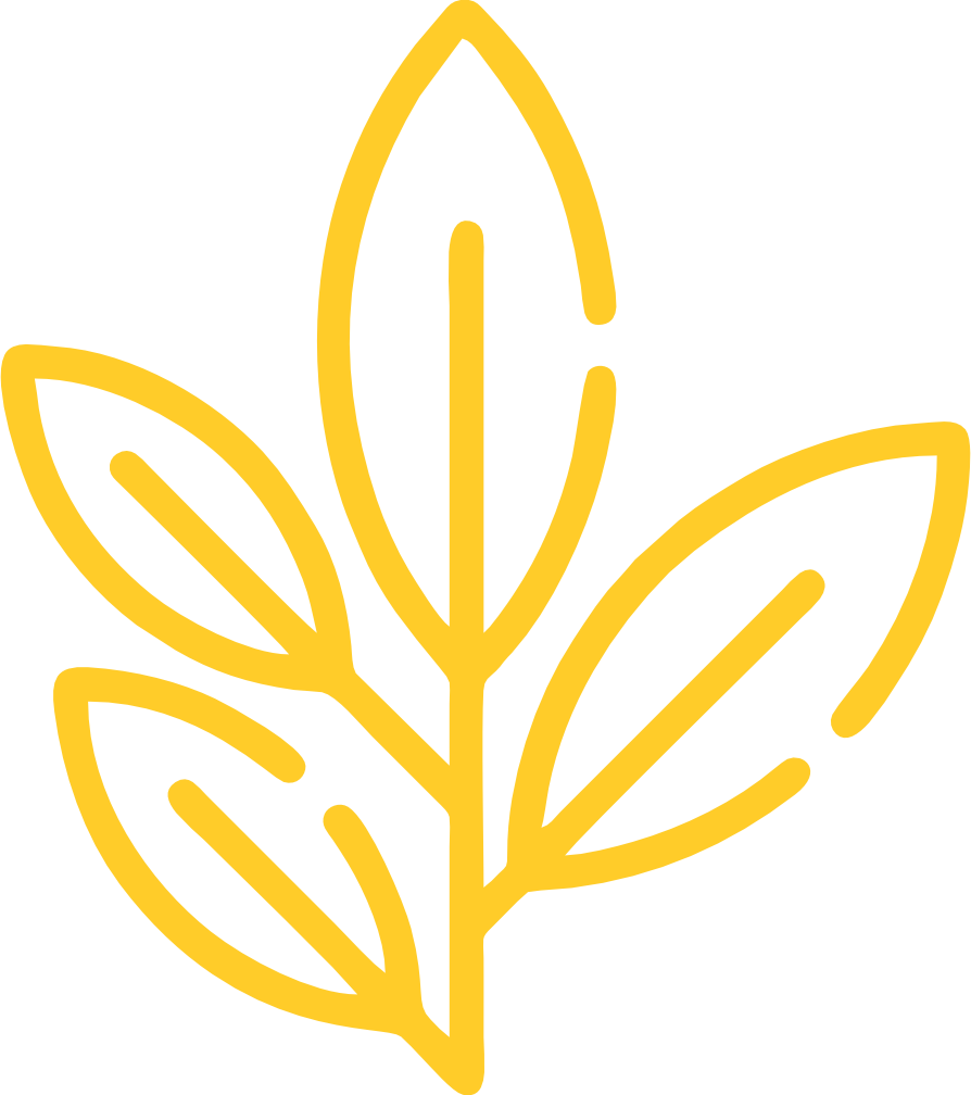 Icono Té Verde